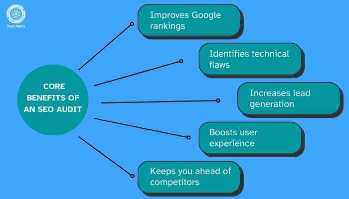 Conducting the SEO Audit